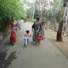 SARTHANA NATURE PARK ZOO