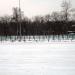 Площадка для выгула собак в городе Москва