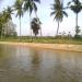 pothiyamman kovil and kadu