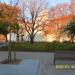 Jardim de Sá da Bandeira na Santarém city