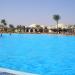 بركة في ميدنة الغردقة    