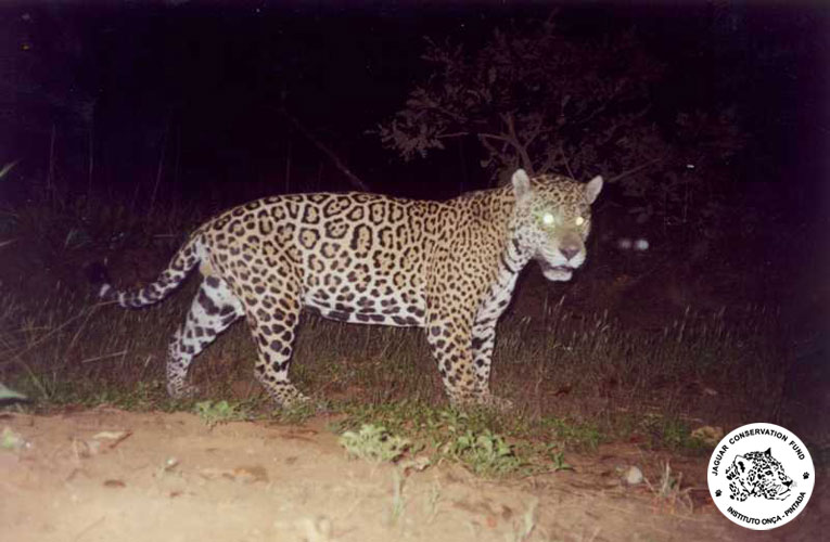 Parque Nacional Das Emas