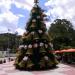 Praça do Pau d'Alho na Guararema city