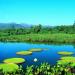 Parque Estadual Pantanal do Rio Negro