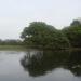 Parque Estadual Pantanal do Rio Negro