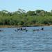 Parque Nacional do Araguaia - III