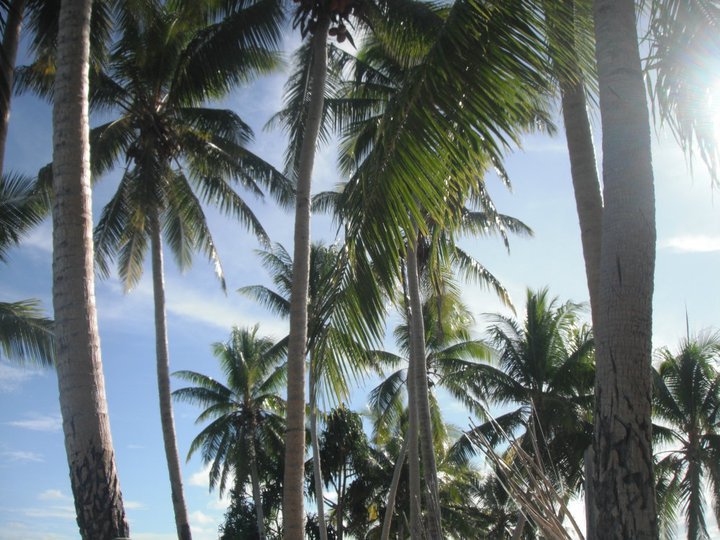 Settlement on Nukumanu Atoll