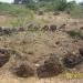 Sengalur Excavated Megalithic burial site