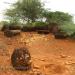 Sengalur Excavated Megalithic burial site