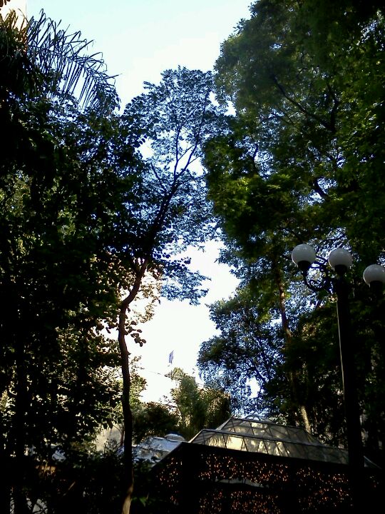 Shopping Pátio Higienópolis São Paulo shopping mall