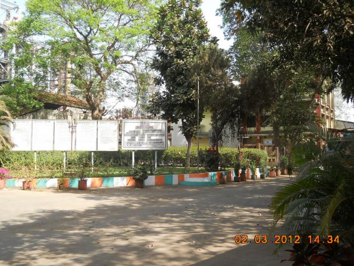 national-peroxide-limited-kalyan