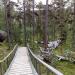 Karhunpesäkivi - Bear's den stone, урочище медвежье логово