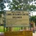 bikaner national research center  camel