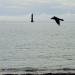 Haulbowline Lighthouse