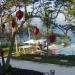 Banyan tree Cabo Marques (es) in Acapulco city