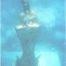 Statue of the Virgin of Guadalupe (submerged)