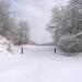 Шлагбаум в городе Севастополь