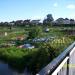 Greenmoor Road / Milford Street Allotments in Nuneaton city