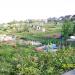 Greenmoor Road / Milford Street Allotments