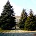Городская администрация в городе Хрустальный (Красный Луч)