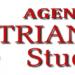 Agencija Triangle studio in Ваљево city