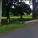 UMBUL BUTO in Klaten city
