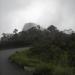 Picinguaba Administrative Center - Serra do Mar State Park