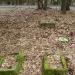 Cemetery in Neu Laskowitz