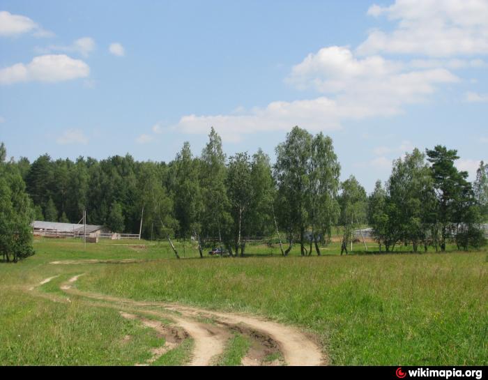 Открылась частная ферма по выращиванию грибов в Овадандепе Туркменистана