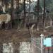 Cemetary Chapel in Kohima city