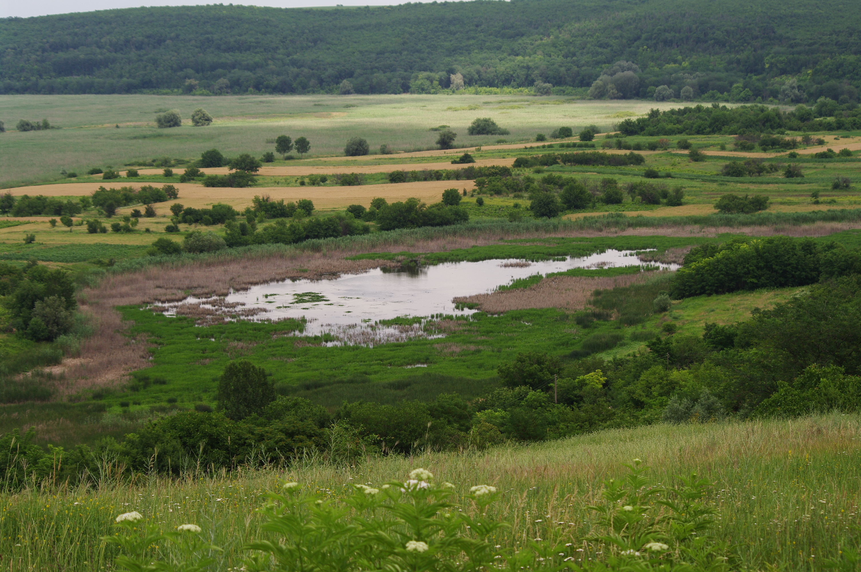 Garvanski Blata Protected Site