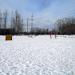 Кинологическая площадка «Орехово» в городе Москва