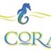 El Coral Restaurant in Cabo San Lucas city