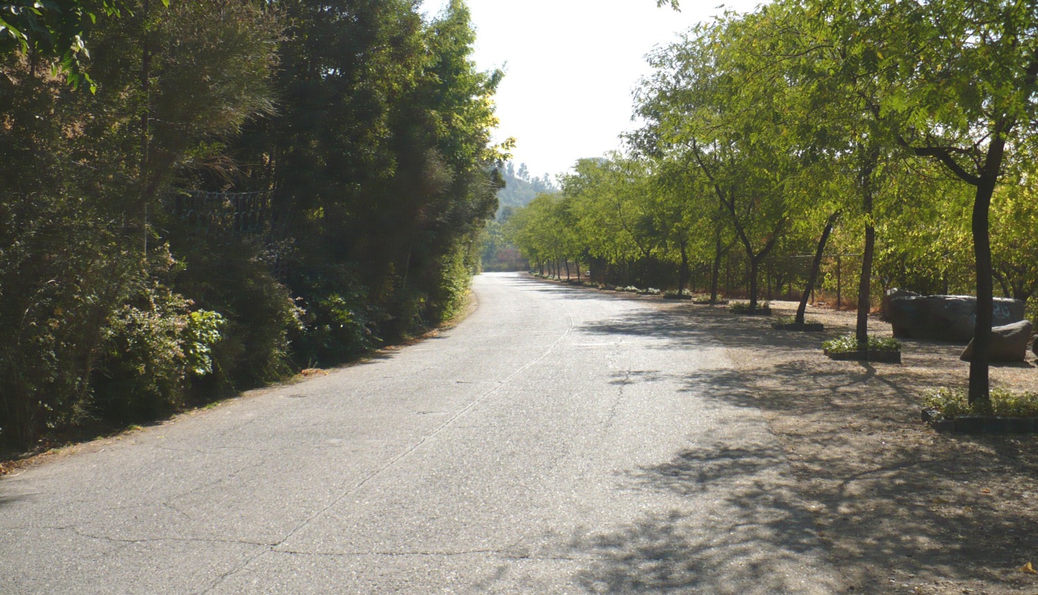Cerro San Cristóbal Parque Metropolitano Santiago de Chile