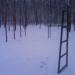 Спортивная площадка в городе Красногорск