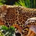 Ilha Grande National Park