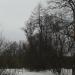 Городской парк в городе Истра