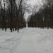 Городской парк в городе Истра