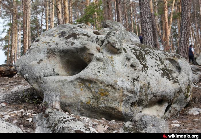 Памятник природы "Малоусинские нагорные сосняки и дубравы"(Каменный лес) image 2
