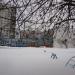 Дошкольное отделение № 5 школы № 1561 в городе Москва
