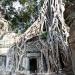 Prasat Ta Prohm