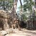 Prasat Ta Prohm