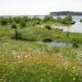 Cardiff Bay Wetlands Reserve