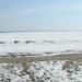 Пляж «У моря» в городе Новосибирск