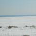 Пляж «У моря» в городе Новосибирск