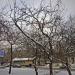 Сквер в городе Москва