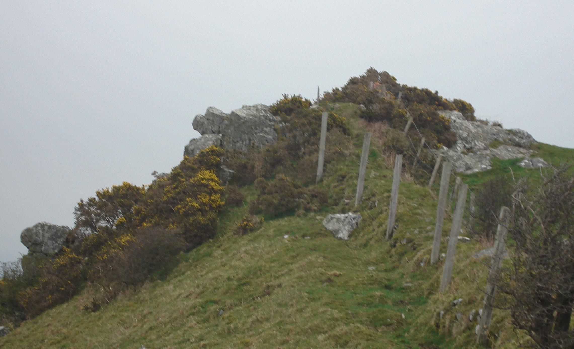 Brent Hill