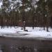 Остановка 