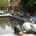 Fishing pond in Tokyo city