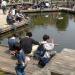 Fishing pond in Tokyo city